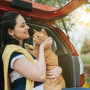 Traveling Long Distance with Cats: Your Full Guide